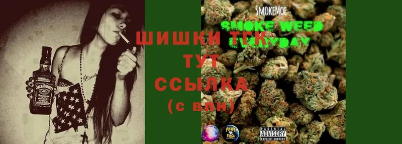 где можно купить наркотик  Инсар  OMG как войти  Шишки марихуана THC 21% 